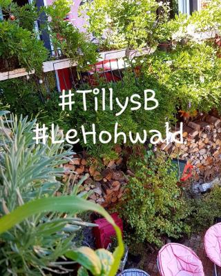Tilly's B&B and apartment house