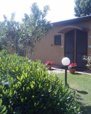 Il Gelsomino Bio Agriturismo
