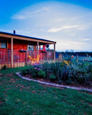 Cherry Tree Glamping