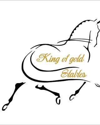 King of Gold Stables appartement met stalling voor 5 paarden