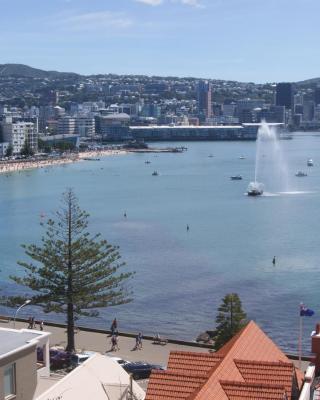 Oriental Bay At Its Best