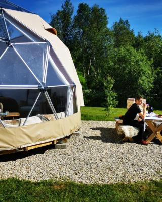 Wild Caribou Dome