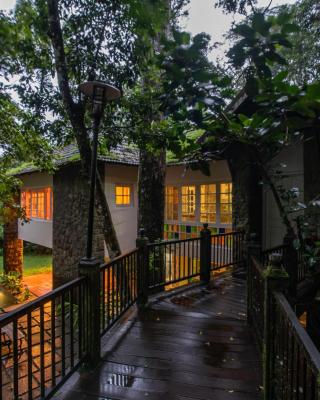 Mystic Mayapott, Thekkady