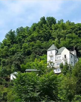 Белый дом в горах, утопающий в зелени