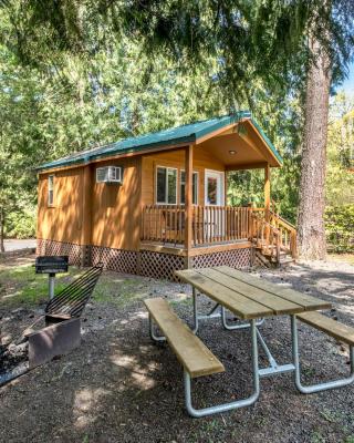 Mount Hood Village Deluxe Cabin 5