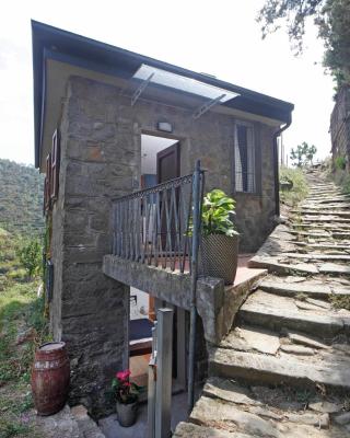 FIESSE COTTAGE