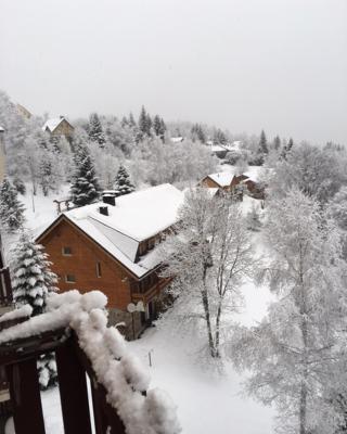 Studio 4 pers vue magnifique 100m des pistes