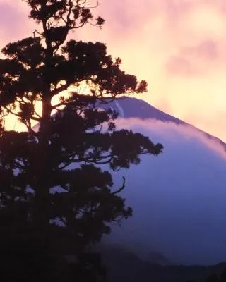 華の宿　ふくや