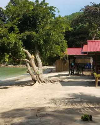 The Beachaven Chalets, Kota Belud