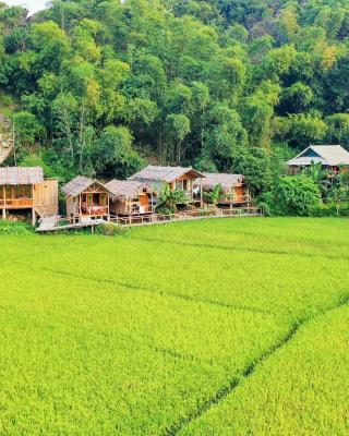 Little Mai Chau Home Stay