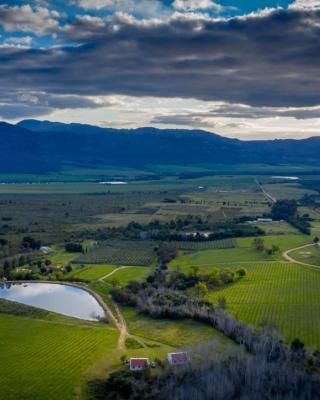 Fraaigelegen Farm - Home of ADHARA EVOO