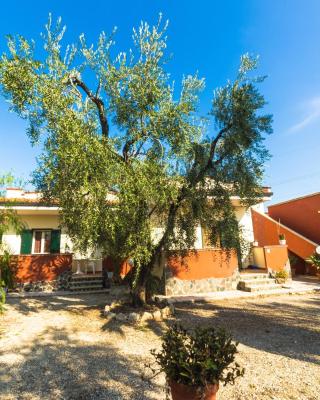 B&B Uliveto del Gargano