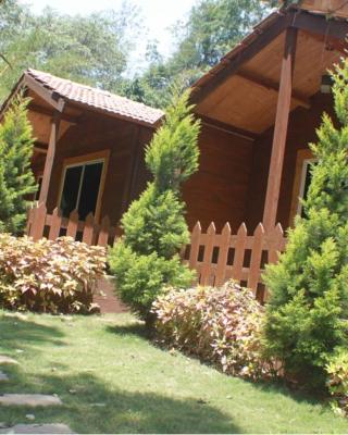 Coorg amodhini