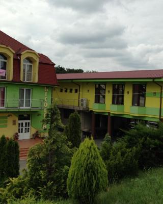 Hotel Nicoleta