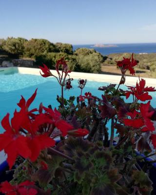 La Sima villa con piscina vista mare San Pantaleo Sardegna
