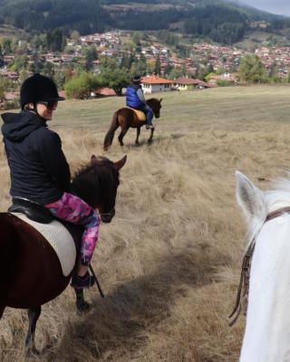 Dona Guest House - Horse Riding