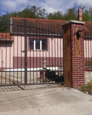 Casa Dragoi din Socolari, Caras - Severin