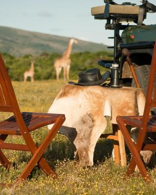 Temba Private Game Reserve