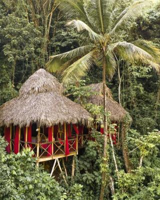 Dominican Tree House Village