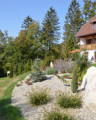 Apartment in the Black Forest with balcony