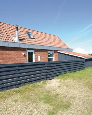 Holiday Home Arvidvej Hvide Sande Xii Denmrk