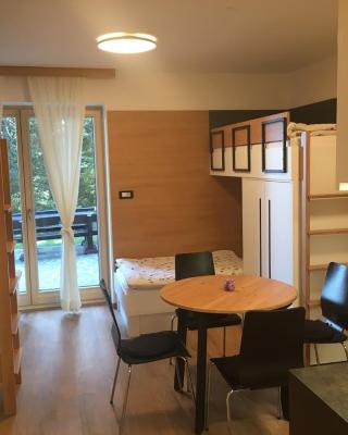 Apartma Rogla - Gaber 98