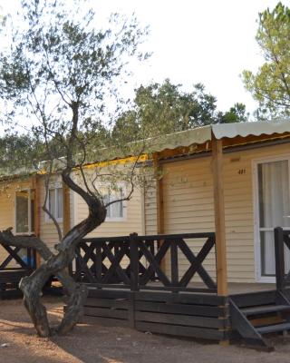 Camping Relax Ge