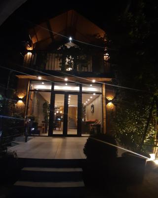 Magical forest House in the center of old City