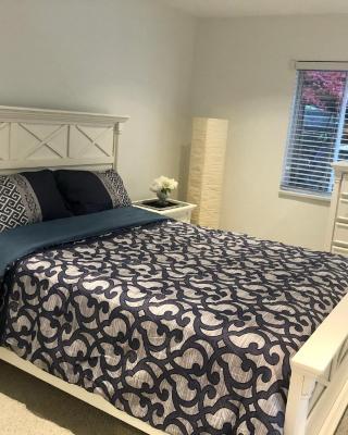 Beautiful Two Bedroom Suite
