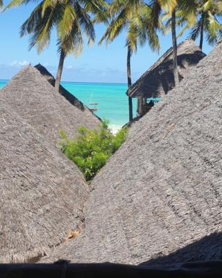 Organic Roots Villa