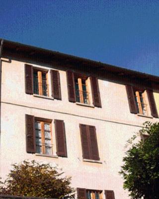Le Camelie