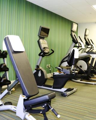 Holiday Inn Express & Suites Kingston-Ulster by IHG