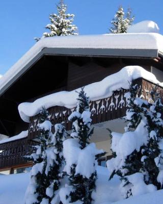 Chalet Les Erines