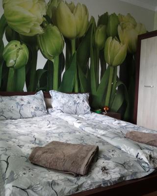 Tulips - guest room close to the Airport, free street parking