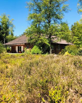 Landhaus mitten in der Lüneburger Heide