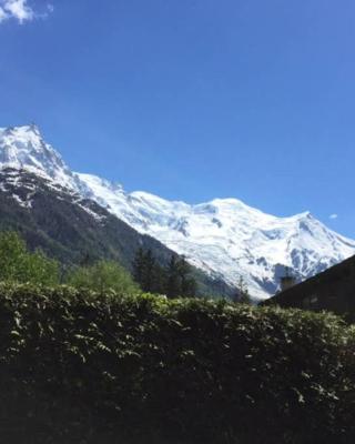 Studio au calme avec jardin et vue Mont-Blanc