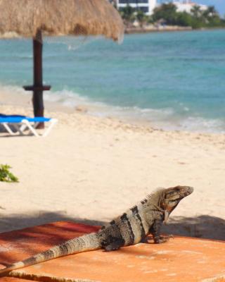 Beautiful Studio in Akumal Paradise - Wifi, AC