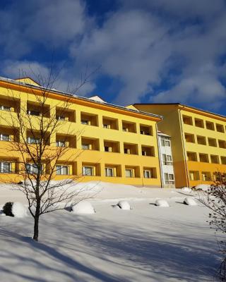 Lipno-Frymburk Wellnes APT D 103