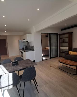 Appartement Vieux Nice S