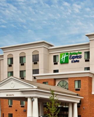 Holiday Inn Express & Suites Chicago West-O'Hare Arpt Area by IHG