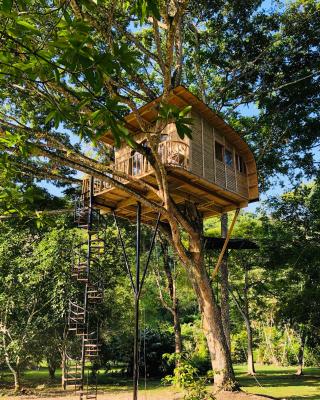 Casa del Árbol Colombia