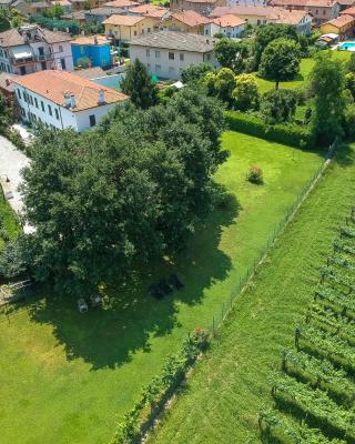 Villa Franca Casa Vacanze