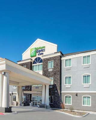 Holiday Inn Express Hotel and Suites Monahans I-20 by IHG