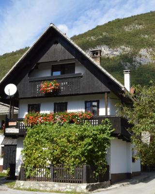 Hiša Planšar Bohinj accommodations