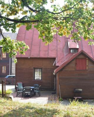Holiday Home Abertamy near Ski Slopes