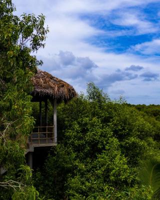 Mermaid Cabana and Tree Houses