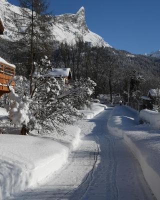 Face Mont-Blanc