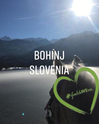 Učni ranč, Bohinj