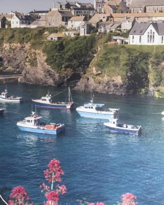 Bay House Lundy Port Isaac Apartment with Sea Views