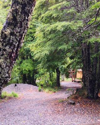 Lodge Palguin Alto